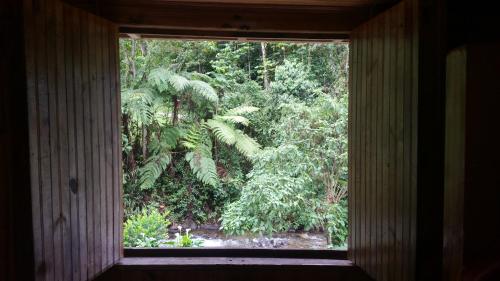 a window in a room with a view of a forest at Cardisch in Santa Rosa de Cabal