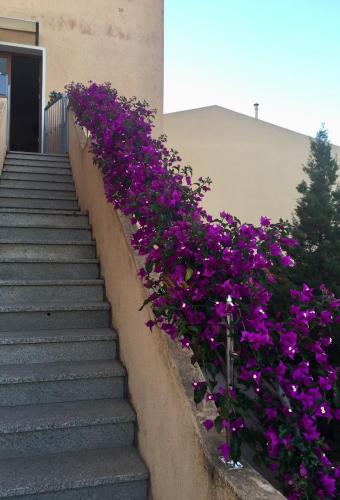 a bunch of purple flowers on a staircase at B&B Arcipelago in La Maddalena