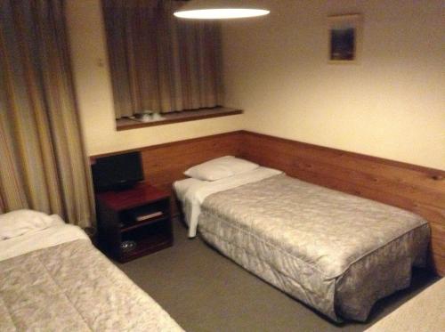 a hotel room with two beds and a television at Pension Roku in Hakuba