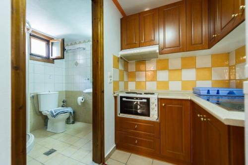 uma pequena cozinha com um lavatório e um WC em Villa Alexandros em Parga