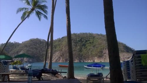 a beach with palm trees and a boat in the water at Mapi's House in Paquera