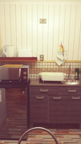 uma cozinha com um balcão com um lavatório e um micro-ondas em Cabañas Avenida España em Punta Arenas