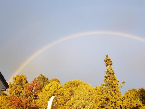 a rainbow in the sky with a tree at Bruntwoodlodge in Cambridge