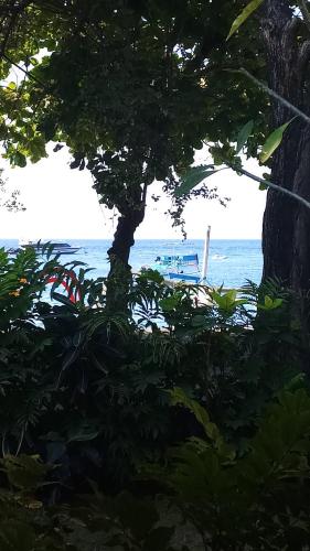 a view of the ocean from behind a tree at Jemeluk Beach Bungalows in Amed