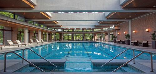 a large swimming pool in a building with windows at Hyatt Lodge Oak Brook Chicago in Oak Brook