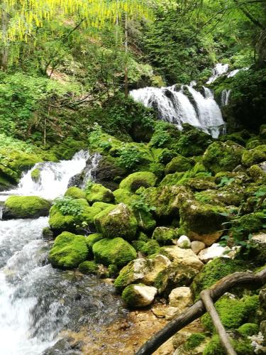 a waterfall in the middle of a forest with rocks at 2 studio & apartment Cvetek Bohinj in Bohinj