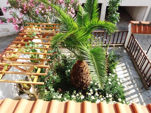 a garden with a palm tree and flowers at Traditional House Paschalis in Kavala