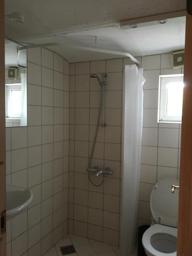 een badkamer met een douche en een toilet bij Margretelyst in Farsø