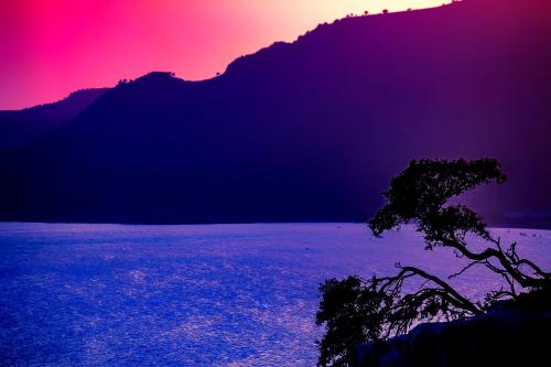 a sunset over a mountain with a tree in the foreground at Lindos Citrin Studios in Líndos