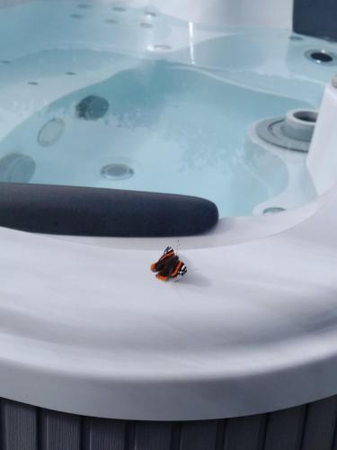 a ladybug sitting on the edge of a bathtub at Residence Aurora Wellness & Spa in Albenga