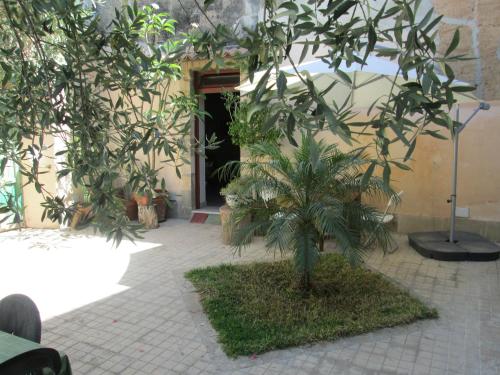 a courtyard with a palm tree in front of a building at House with Garden in Noto