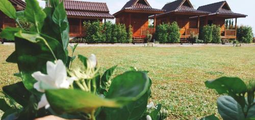 Billede fra billedgalleriet på Imsuk Homestay at Chiang Rai i Chiang Rai