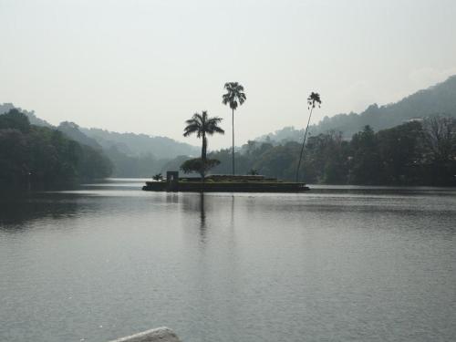 two palm trees on a island in the middle of a river at Nature Walk Resort in Kandy