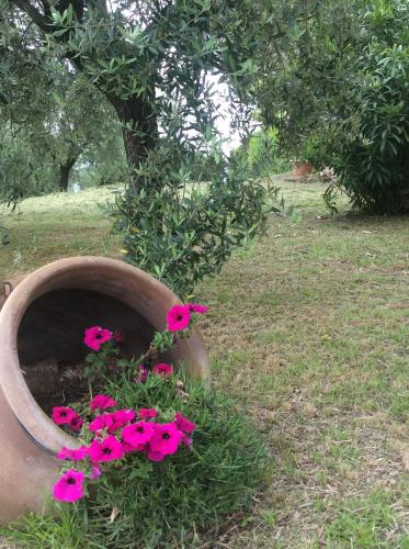 Tenuta Gaetano Spadaro – Photos 4
