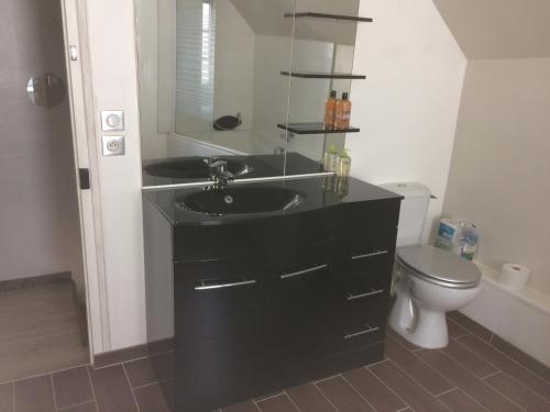 a bathroom with a black sink and a toilet at Guitte family in Poilly-sur-Serein