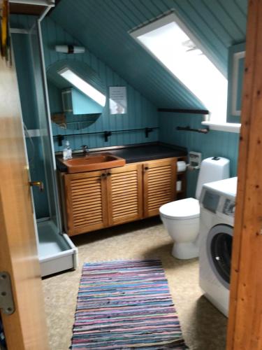 ein Badezimmer mit einem WC und einer Waschmaschine in der Unterkunft Oasen in Skagen