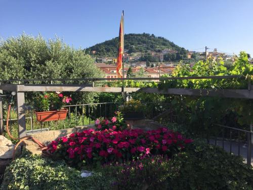 a garden with pink flowers and a fence at Borgo Piccolo in Cavaion Veronese