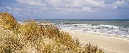 a sandy beach with some grass and the ocean at De Panne Plaza in De Panne