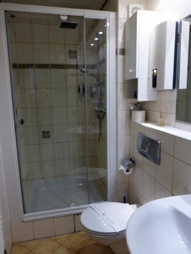 a bathroom with a shower and a toilet and a sink at K-Haus Sankt Aldegund in Sankt Aldegund