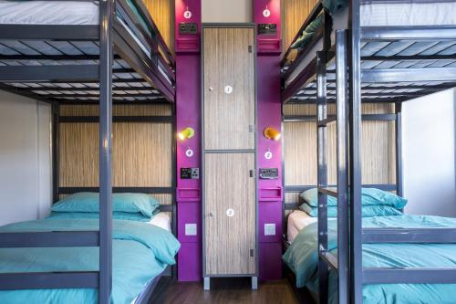 two bunk beds in a dorm room with purple walls at Kick Ass Grassmarket (18+) in Edinburgh