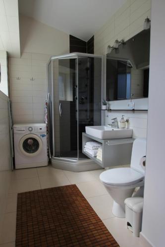 a bathroom with a toilet and a sink and a washing machine at Villa Irina Palanga in Palanga