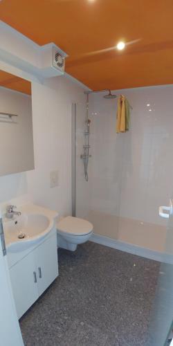 een badkamer met een toilet, een wastafel en een douche bij Ferienwohnung Belisa in Burgau