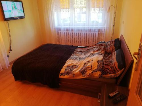 ギジツコにあるMieszkanie Giżyckoの窓とテレビが備わる客室のベッド1台分です。