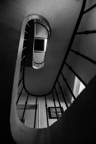Le Sureau photo 34