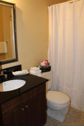 Vonios kambarys apgyvendinimo įstaigoje Hotel Motel Hospitalité