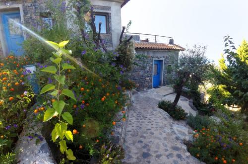 a house with a garden with flowers in front of it at Frictories station of residency in Limniónas