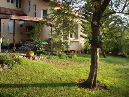 a house with a tree in the yard at Kinneret Guesthouse in Neot Golan