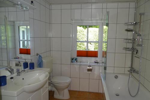 e bagno con servizi igienici, lavandino e doccia. di Ferienwohnung "kleine Auszeit" a Olsberg