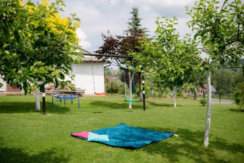 a kite laying on the grass next to two trees at Staś -przy szkole nr 3 w Skawie in Skawa