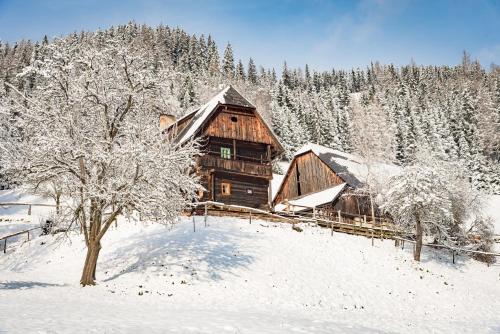 a wooden cabin in a snow covered forest at Urlaub auf der Alm "Deluxe" in Preggraben