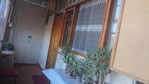 Fotografie z fotogalerie ubytování Grandma`s Hotel v destinaci Tbilisi City
