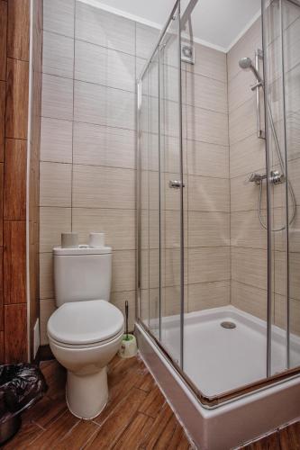 a bathroom with a toilet and a shower at Guest House "Arkhistratyg" in Lviv