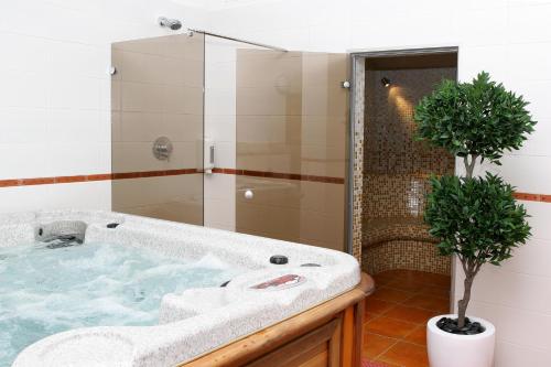 Hotel Sinchronas tesisinde bir banyo