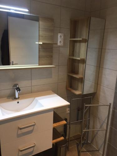 une salle de bain avec un lavabo et un miroir dans l'établissement Appartement confortable et spacieux, à Roisey
