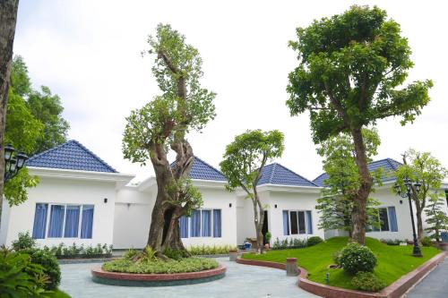 a row of trees in front of a building at Van Kim Long in Ấp Ðông Quì