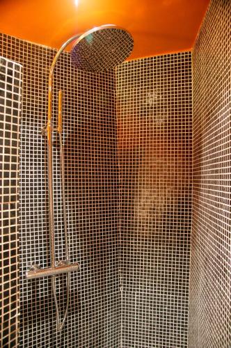 a shower in a bathroom with tiled walls at Studio Rempart in Brussels