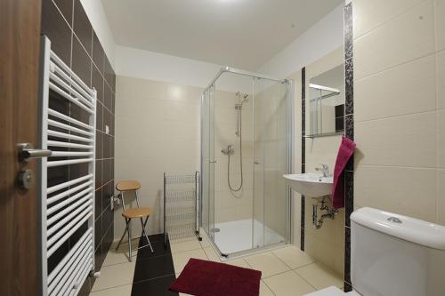 y baño con ducha, aseo y lavamanos. en penzionMoravia, en Moravská Nová Ves