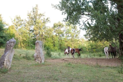 Gallery image of Valle Dell'Aquila Country House in Settefrati