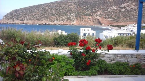 Φυσικό τοπίο κοντά σε αυτό το διαμέρισμα