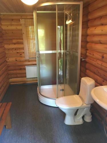 a bathroom with a shower and a toilet and a sink at Huhtaniemen Mökkikylä in Veteli