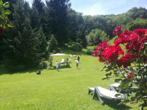 a group of people standing in a field with red roses at Antica Cascina del Medico in Muzzano