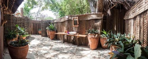 a patio with a bunch of potted plants at Distant Relatives Ecolodge & Backpackers in Kilifi
