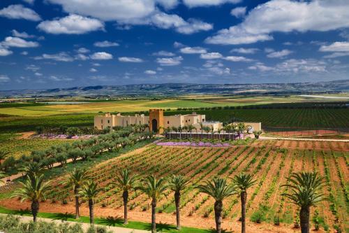 an aerial view of a plantation with palm trees at Château Roslane Boutique hôtel & Spa in Meknès