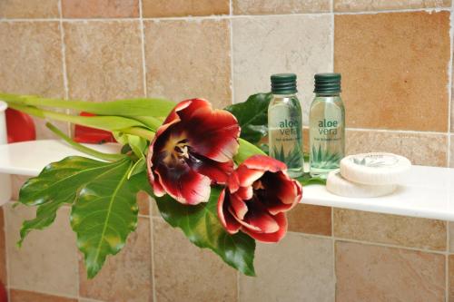 a bathroom shelf with two bottles of soap and a flower at Residence Bellevue in Antey-Saint-André