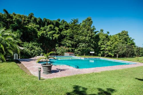 a swimming pool in a yard with trees in the background at Royal Solwezi Hotel in Solwezi