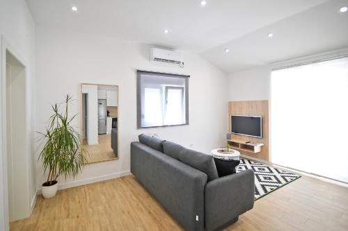 Modern apartment Vitrenjak